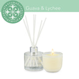 Ensemble de bougie et diffuseur Aromabotanical