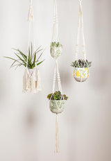 Macramé pour plantes Abbott