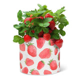 Cache-pot Fraises Abbott