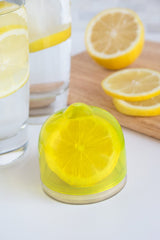 Contenant pour citron Fox Run