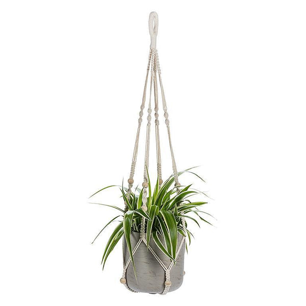 Macramé pour plantes Abbott