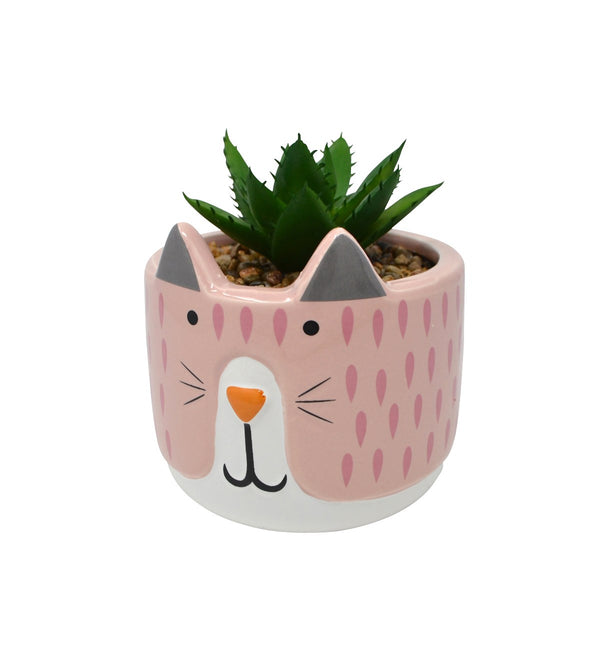 Plante en pot chat rose Nostalgia